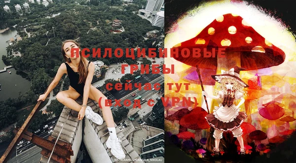 соль ск Абдулино