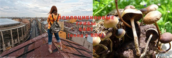 соль ск Абдулино