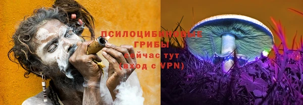 гашик Абинск