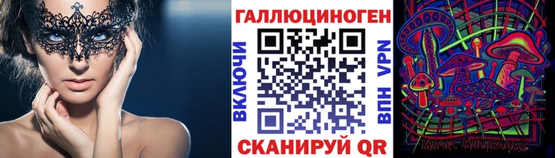 где найти   Суздаль  Псилоцибиновые грибы прущие грибы 